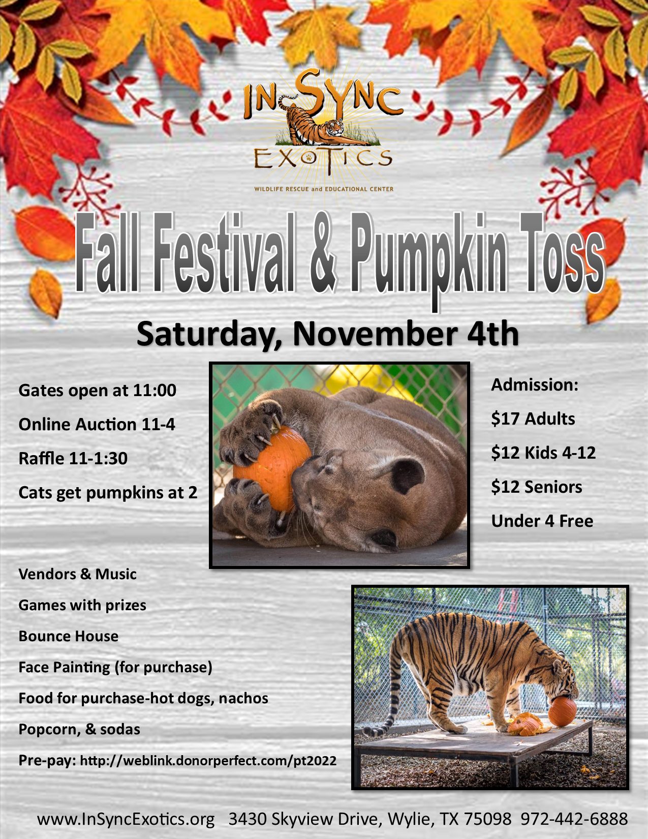 Fall Festival and Pumpkin Toss November 4th